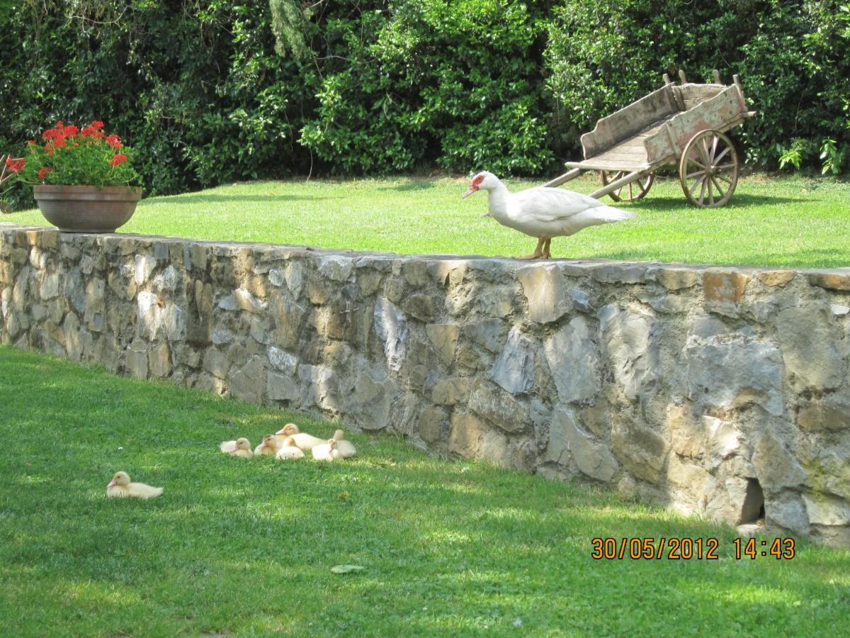 Agriturismo Conca Verde Villa Scandicci Exterior photo